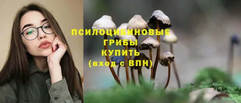 Псилоцибиновые грибы MAGIC MUSHROOMS  Вязники 